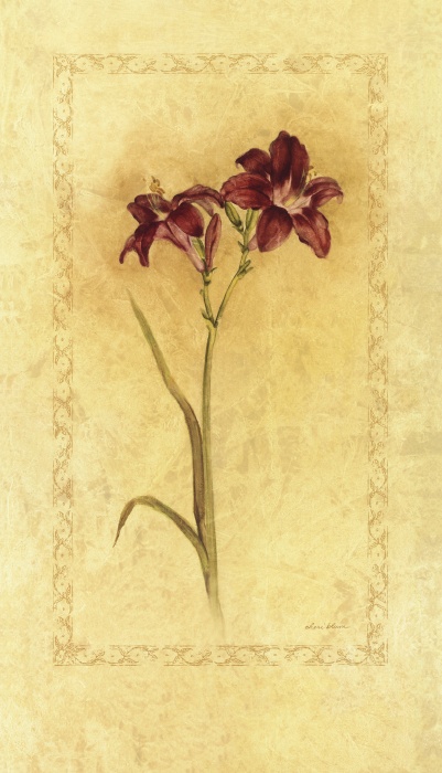 Cheri Blum Purple Day Lily